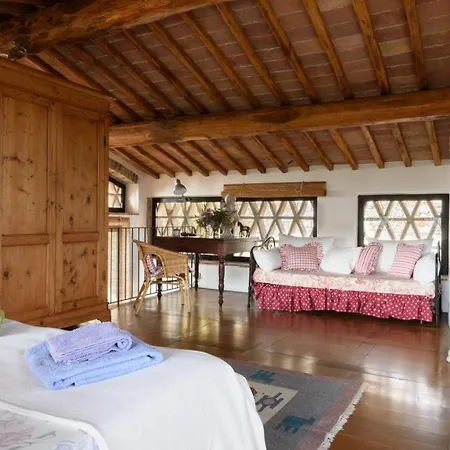 Parmolaina Corsano (Tuscany)