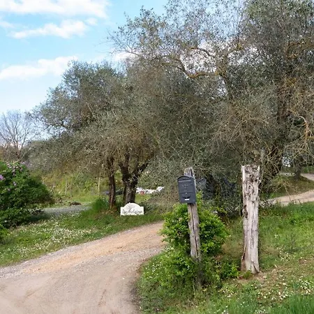 Dom wakacyjny Parmolaina
