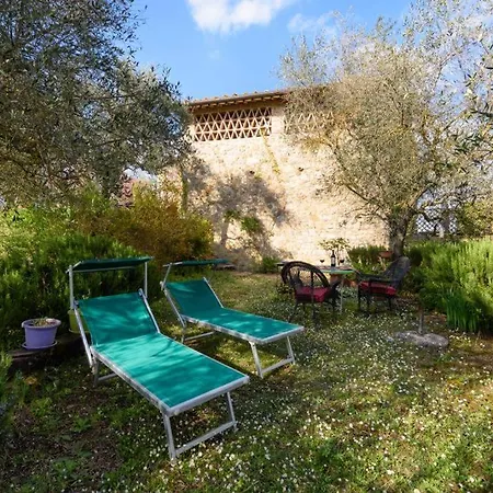 Parmolaina * Corsano (Tuscany)
